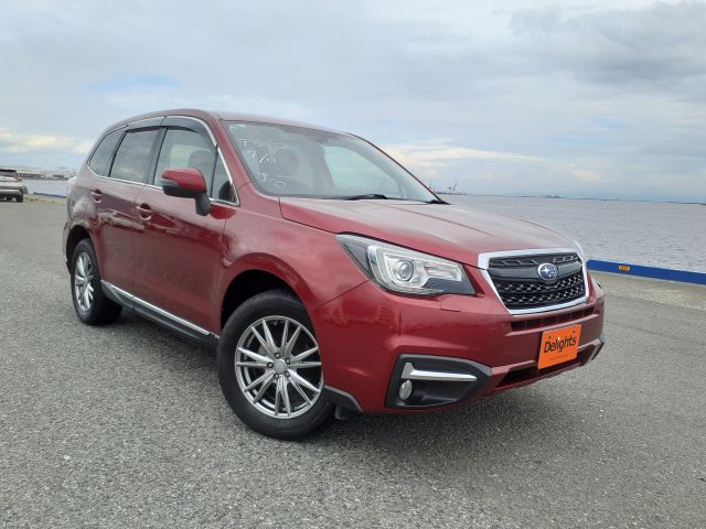 SUBARU FORESTER STYLE MODERN 2017/1