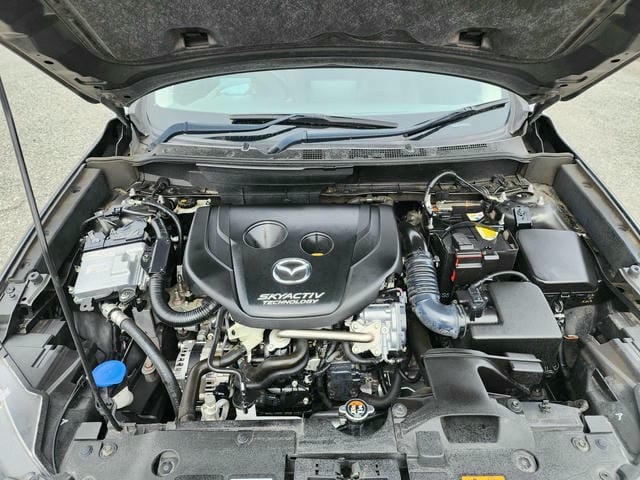 4902839