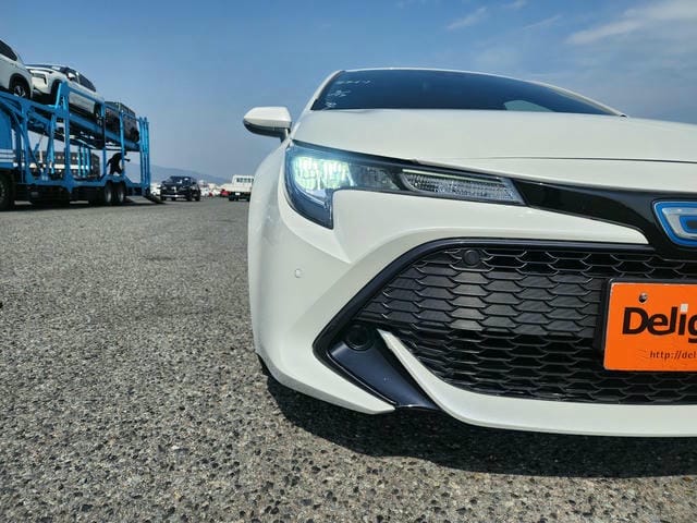 4909028