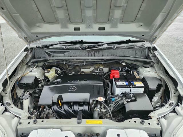 4923425