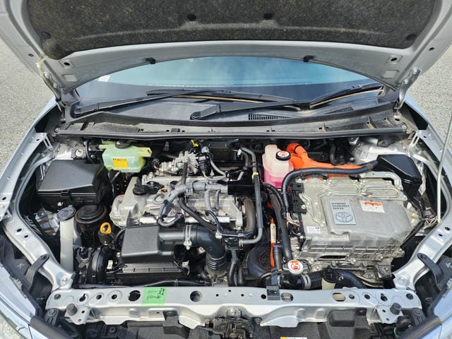 4923534