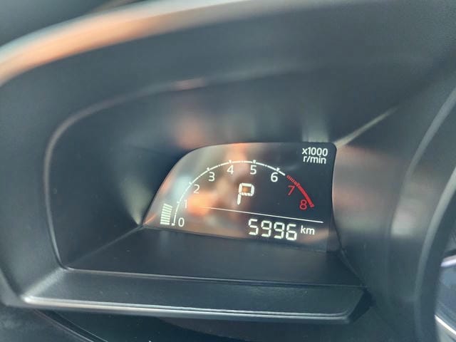 4951019