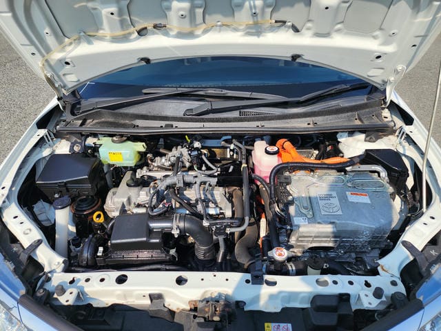 4955334