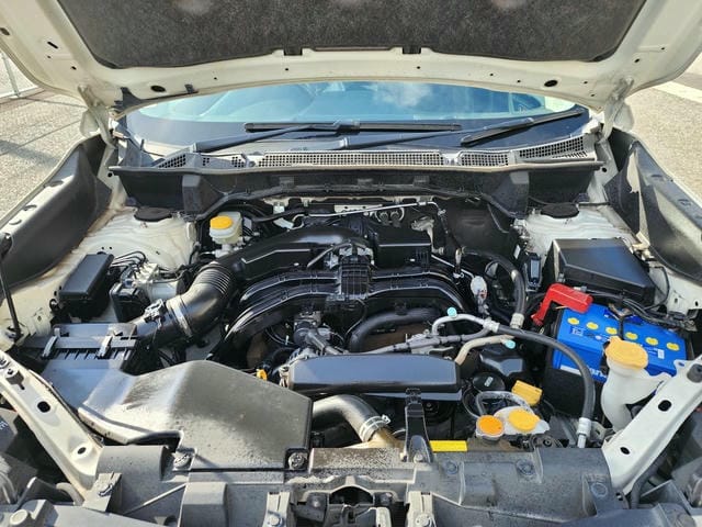 4959538
