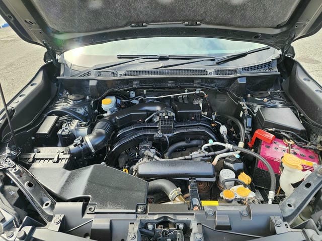 4975038