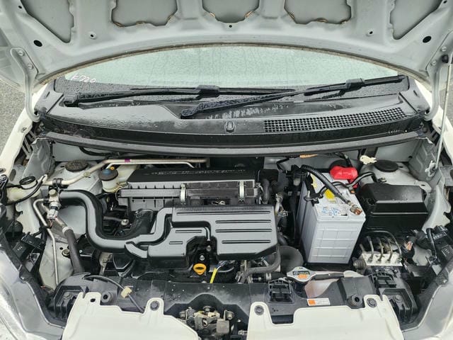 4981232
