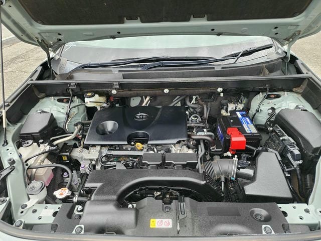 TOYOTA RAV4 ADVENTURE 4WD 2019/10 photo 34