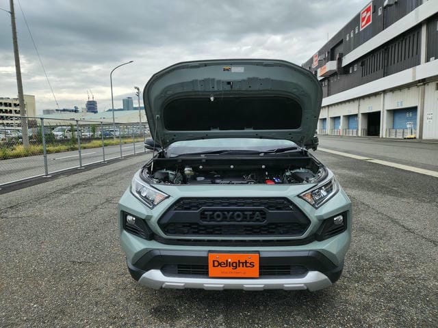 TOYOTA RAV4 ADVENTURE 4WD 2019/10 photo 35