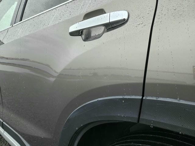 SUBARU FORESTER ADVANCE 4WD 2019/9 photo 40