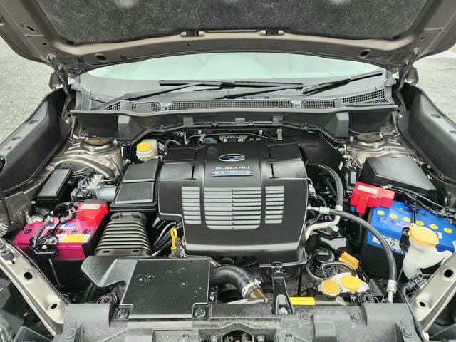 SUBARU FORESTER ADVANCE 4WD 2019/9 photo 45