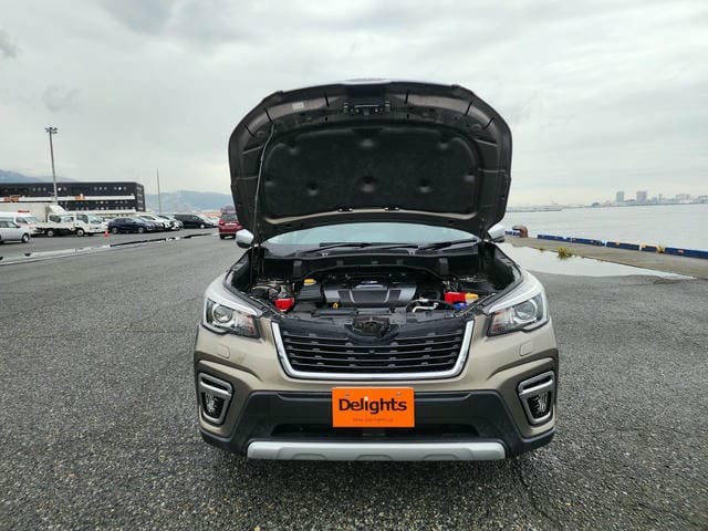 SUBARU FORESTER ADVANCE 4WD 2019/9 photo 46