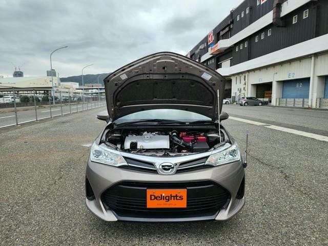 TOYOTA COROLLA AXIO 1.5G 2019/5 photo 36