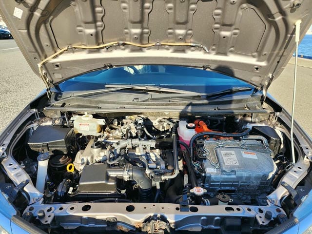 TOYOTA COROLLA AXIO HYBRID  2019/9 photo 29