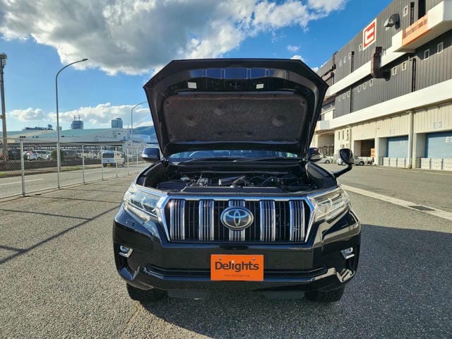TOYOTA LAND CRUISER PRADO TX 4WD 2019/1 photo 36