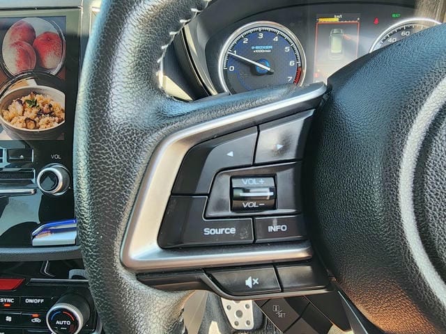 SUBARU FORESTER ADVANCE 4WD 2019/4 photo 25