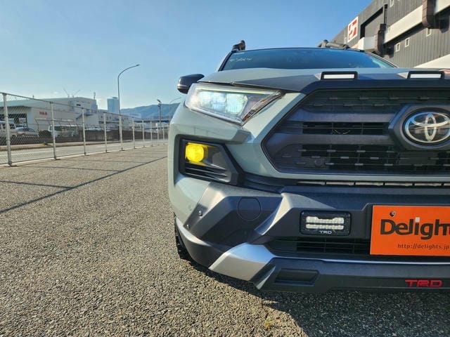 TOYOTA RAV4 ADVENTURE 4WD 2019/6 photo 39