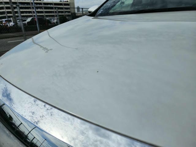 TOYOTA HARRIER PREMIUM 2019/8 photo 36