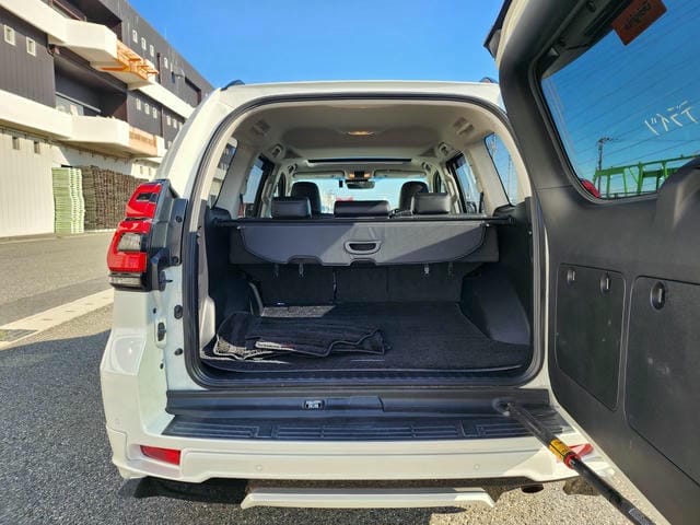 TOYOTA LAND CRUISER PRADO TX L PACKAGE 2019/9 photo 13