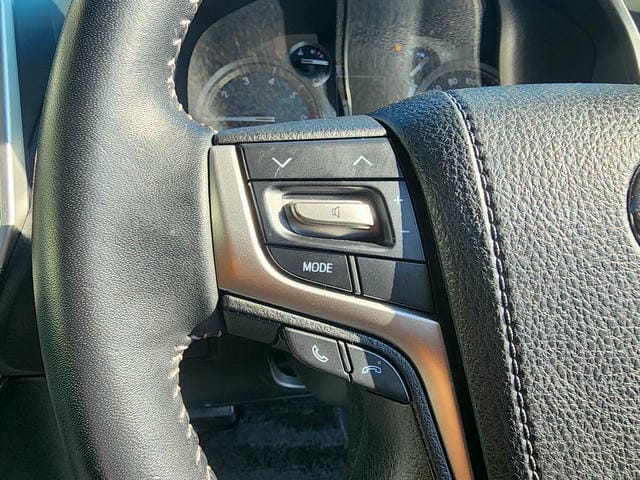 TOYOTA LAND CRUISER PRADO TX L PACKAGE 2019/9 photo 24