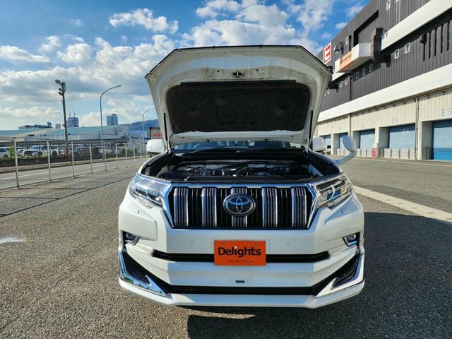 TOYOTA LAND CRUISER PRADO TX L PACKAGE 2019/9 photo 39