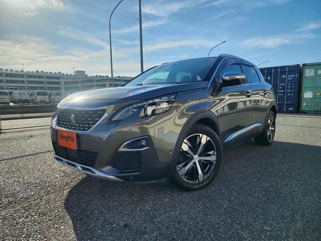PEUGEOT 3008 GT BLUE HDI 2019/8 photo 7