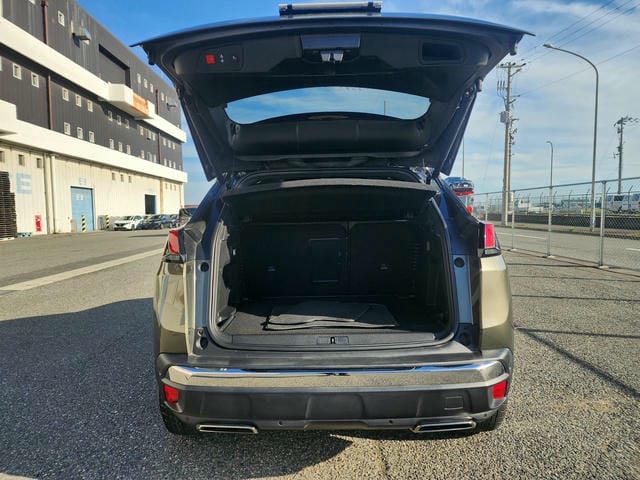 PEUGEOT 3008 GT BLUE HDI 2019/8 photo 13