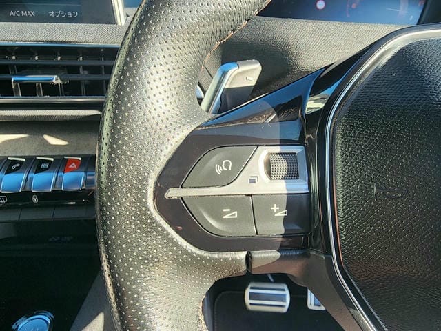 PEUGEOT 3008 GT BLUE HDI 2019/8 photo 25