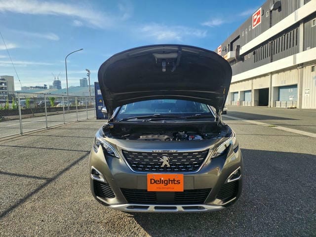 PEUGEOT 3008 GT BLUE HDI 2019/8 photo 34