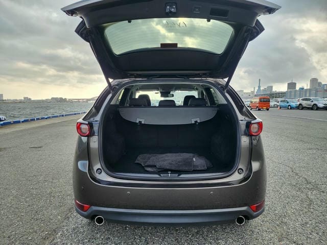 MAZDA CX-5 XD PROACTIVE 2019/9 photo 14