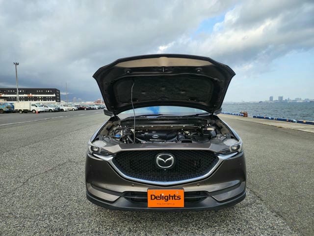 MAZDA CX-5 XD PROACTIVE 2019/9 photo 37