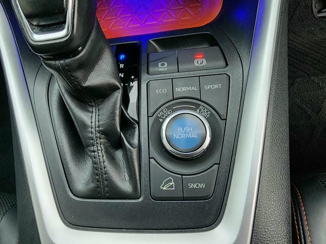 TOYOTA RAV4 ADVENTURE 4WD 2019/11 photo 24