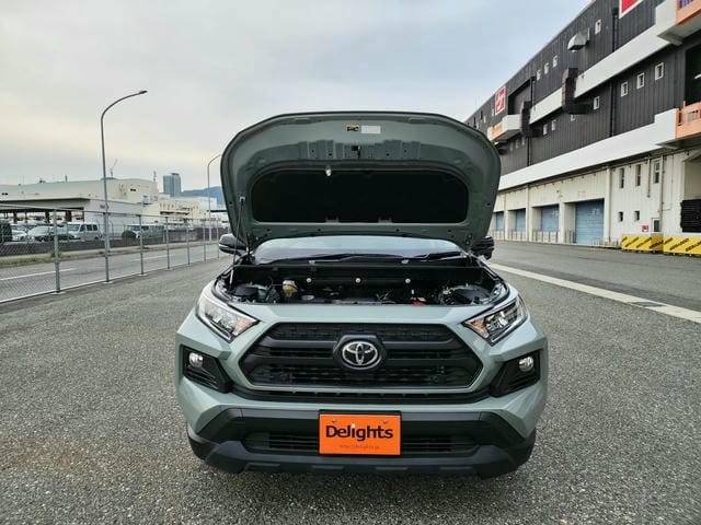 TOYOTA RAV4 ADVENTURE 4WD 2019/11 photo 35