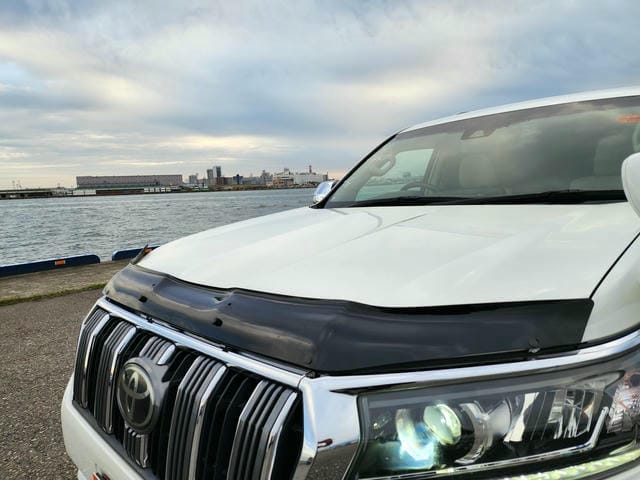 TOYOTA LAND CRUISER PRADO TX L PACKAGE SUNROOF 2019/2 photo 29