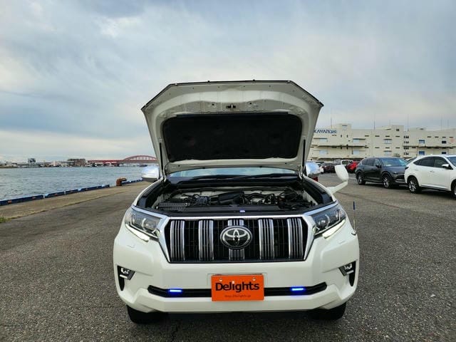 TOYOTA LAND CRUISER PRADO TX L PACKAGE SUNROOF 2019/2 photo 53