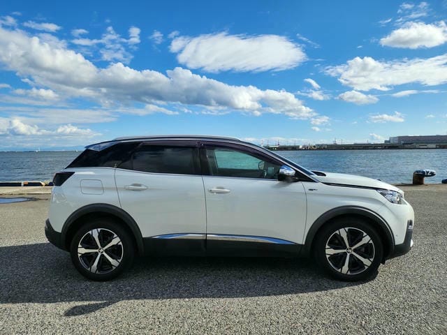 PEUGEOT 3008 GT BLUE HDI 2019/11 photo 2