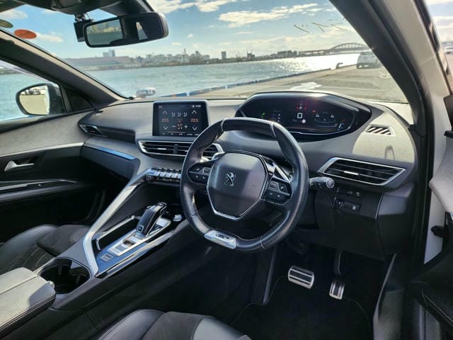 PEUGEOT 3008 GT BLUE HDI 2019/11 photo 8