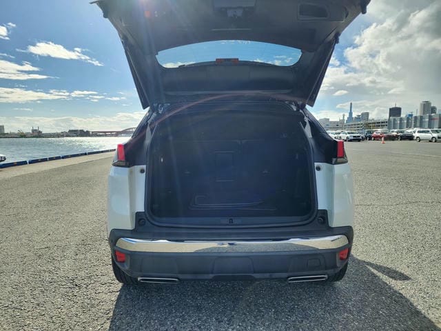 PEUGEOT 3008 GT BLUE HDI 2019/11 photo 13