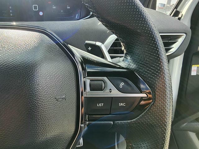 PEUGEOT 3008 GT BLUE HDI 2019/11 photo 23
