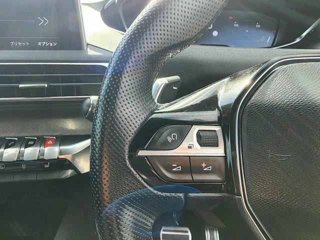 PEUGEOT 3008 GT BLUE HDI 2019/11 photo 24