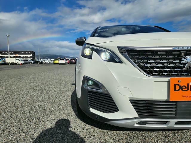 PEUGEOT 3008 GT BLUE HDI 2019/11 photo 34