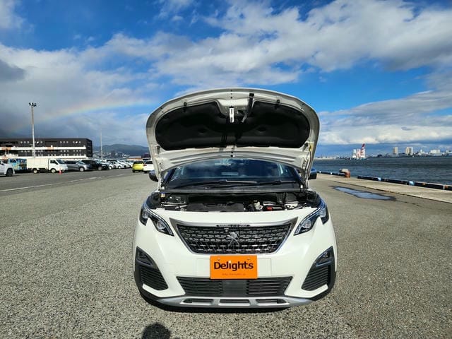 PEUGEOT 3008 GT BLUE HDI 2019/11 photo 37